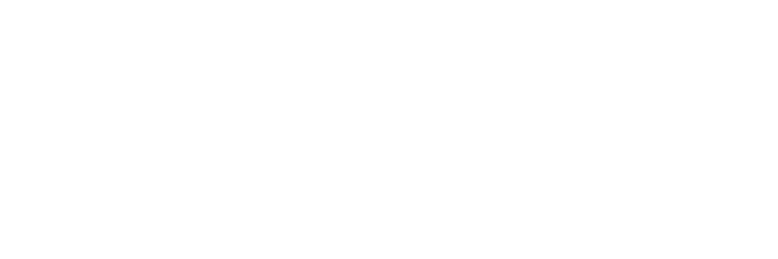 a2_sus a2_sus